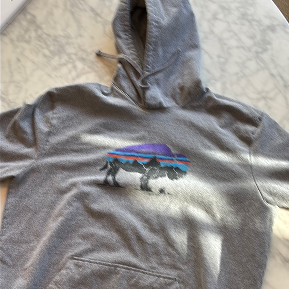 Patagonia barely worn like new Gray Hoodie with Colorful logo